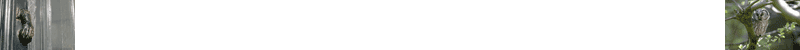S&eacute;jour