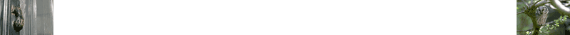 S&eacute;jour