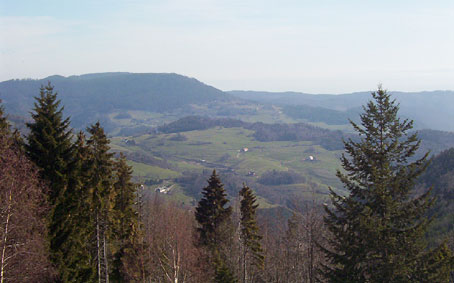 Vue de l'hotel